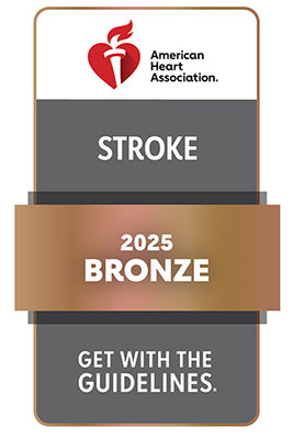 GWTG_STROKE_2025_Bronze_4C